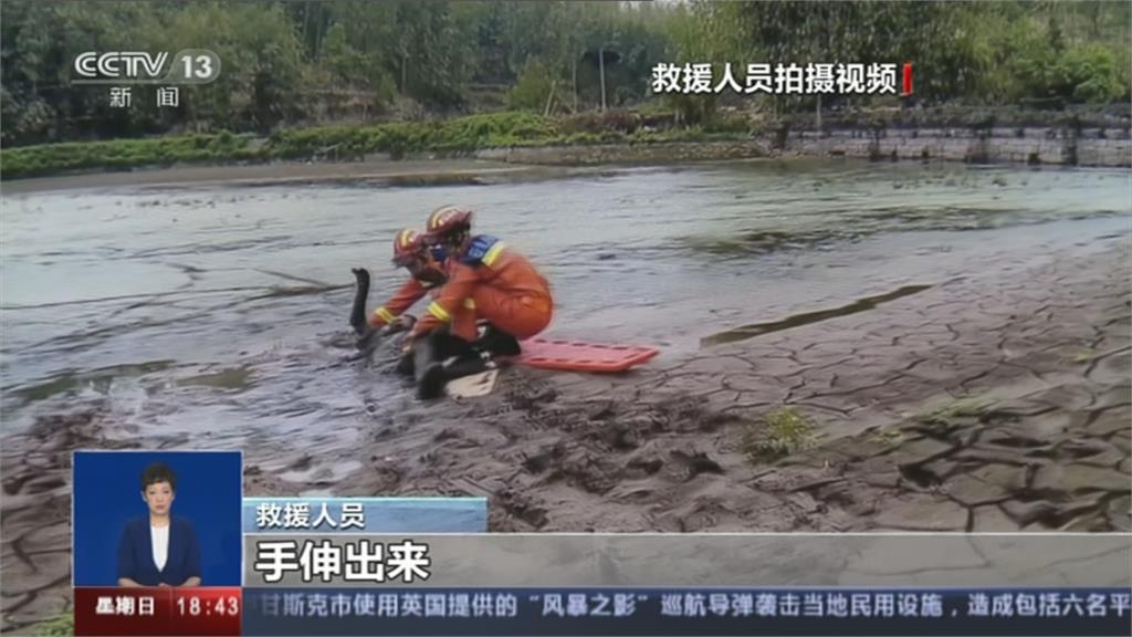 池塘裡有奇怪東西? 老先生跌進去卡泥巴裡整晚