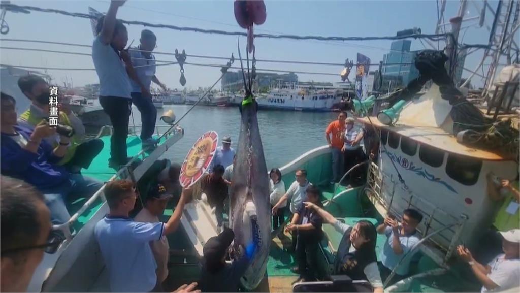 屏東黑鮪魚季「阿共來亂」 打亂出海進度漁民氣炸