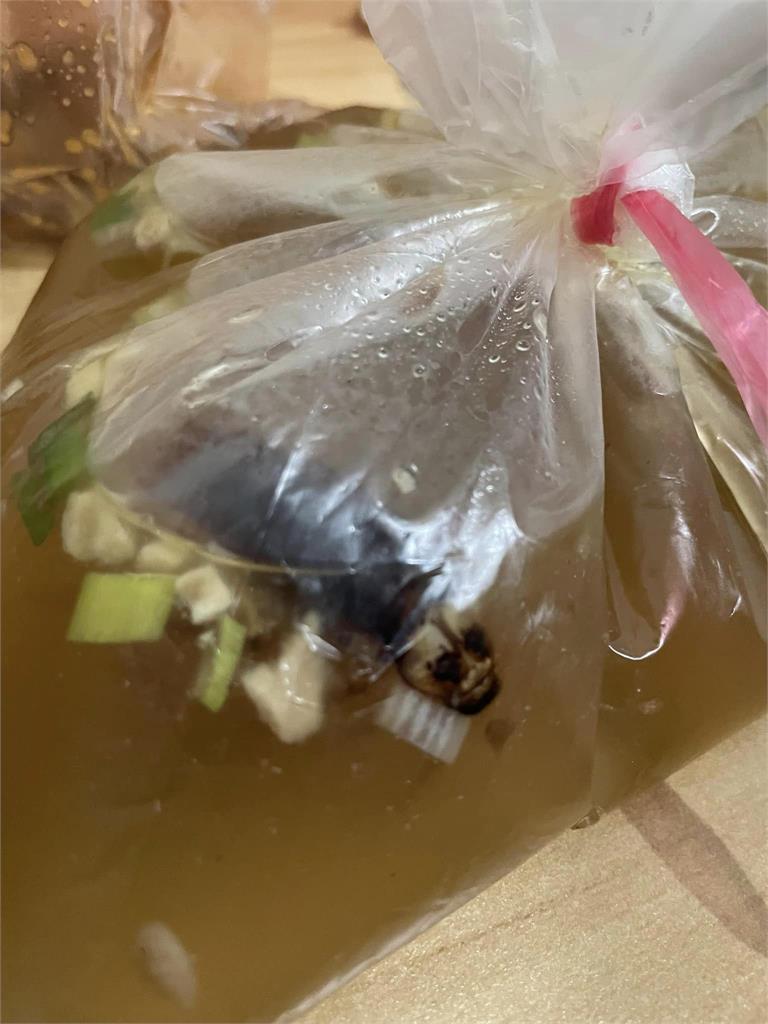 宜蘭4星牛肉麵湯底飄「巨型蟑螂」!店家回應讓他氣炸:態度實在爛