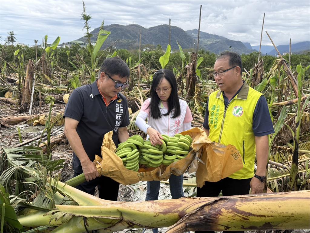 農民免「蕉」急！ 立委陳瑩.莊瑞雄協調農業部復耕方案