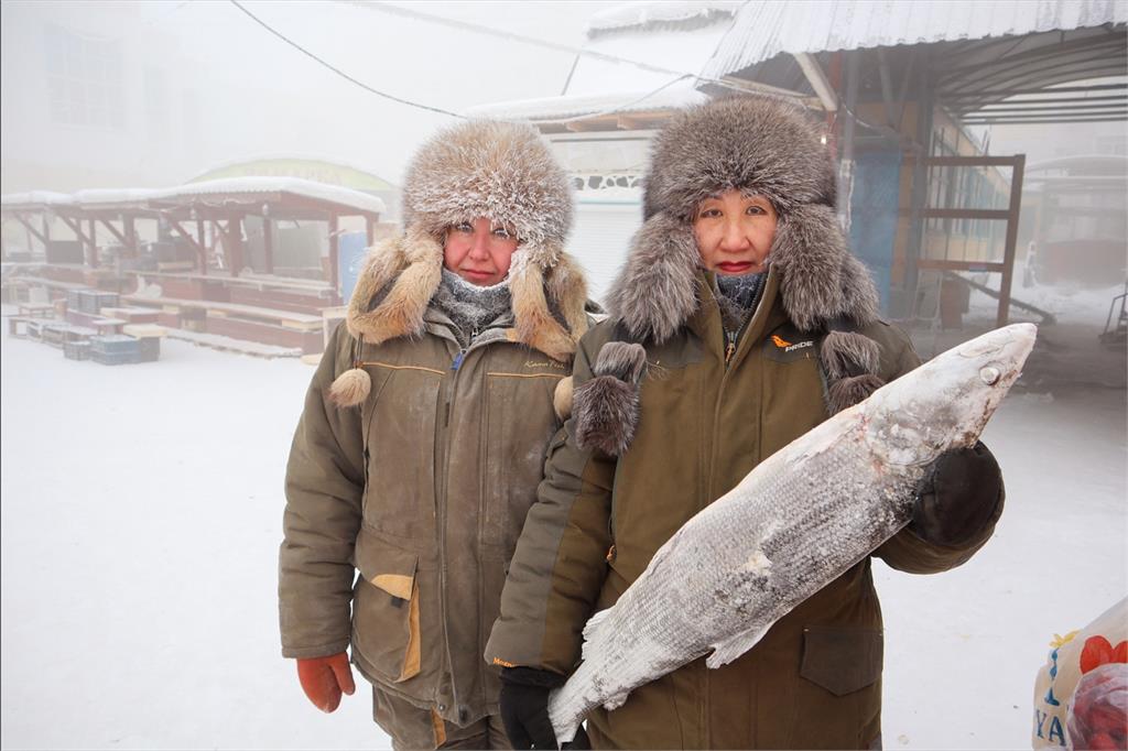「世界最冷城市」零下50度如天然冰箱！魚販攤位「鮮魚冰柱」畫面曝