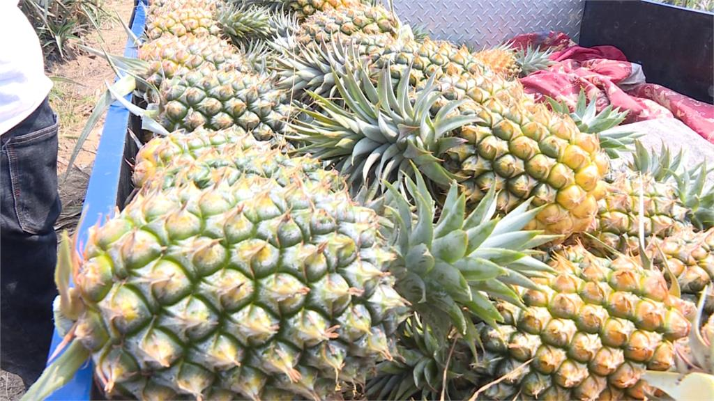 牛奶要選「全脂還低脂」？醫破解「1迷思」多吃這類食物才是關鍵