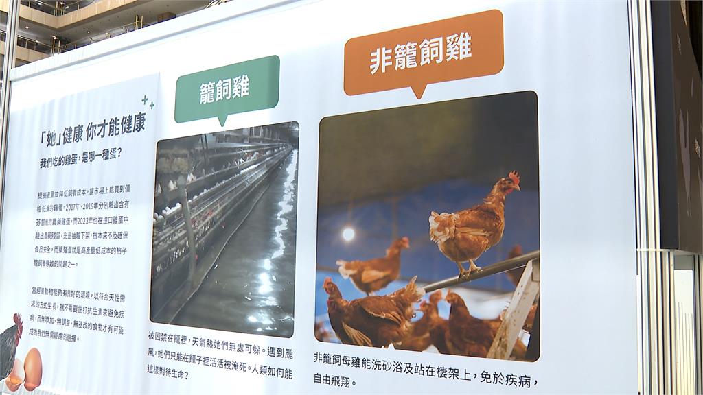 亞太永續博覽會!超市推"裸賣減塑" 量推店賣"非籠飼雞蛋"
