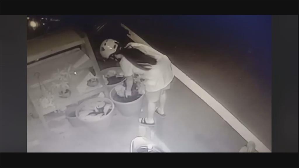採花女賊三度登門偷睡蓮 警掌握身分通知到案