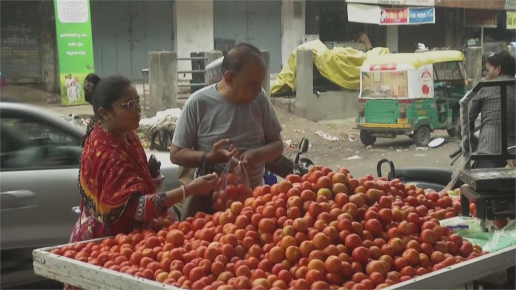 極端氣候！印度番茄產量銳減　攤商不做生意、民眾乾脆不吃了