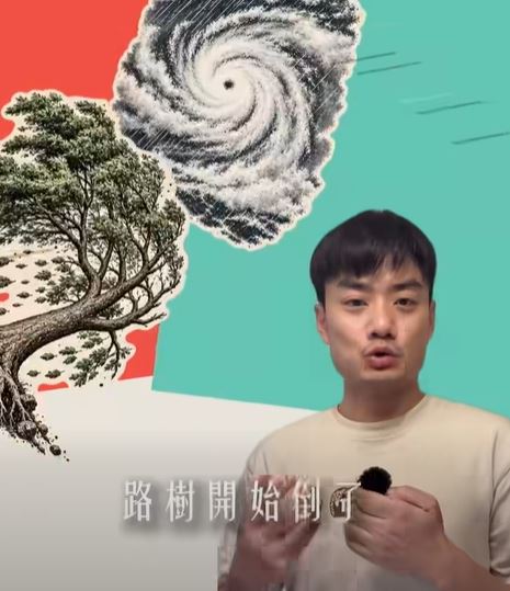 快新聞／殷瑋又帶風向？不認蔣市府亂砍樹「竟扯風災」　簡舒培舉反例狠打臉