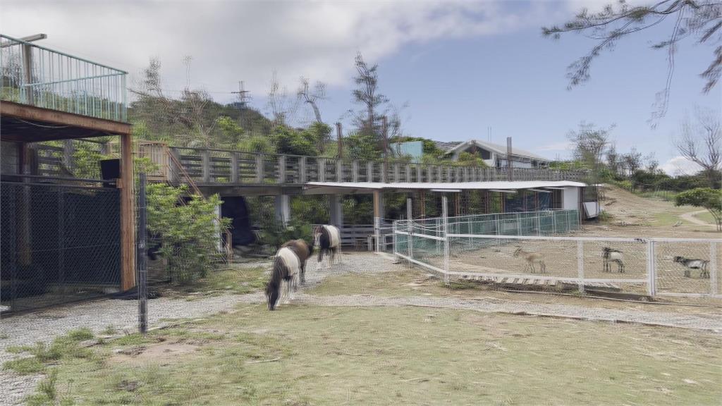 「海葵」颱風重創綠島　著名梅花鹿園區至今仍殘破不堪