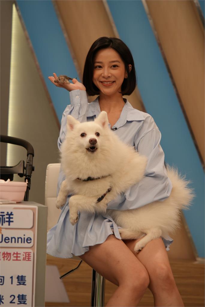 安苡愛毛孩濕疹反覆發作！只在家洗澡竟神奇痊癒