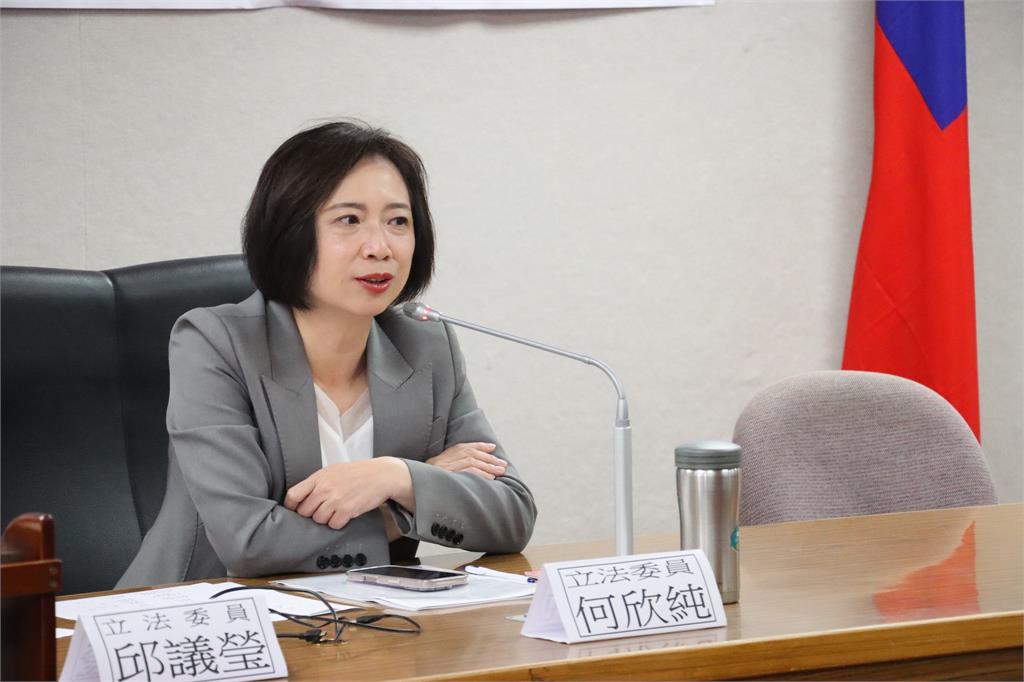 快新聞／中國蔬菜、香菇「洗產地」攻台？邱議瑩、何欣純聯手追漏洞