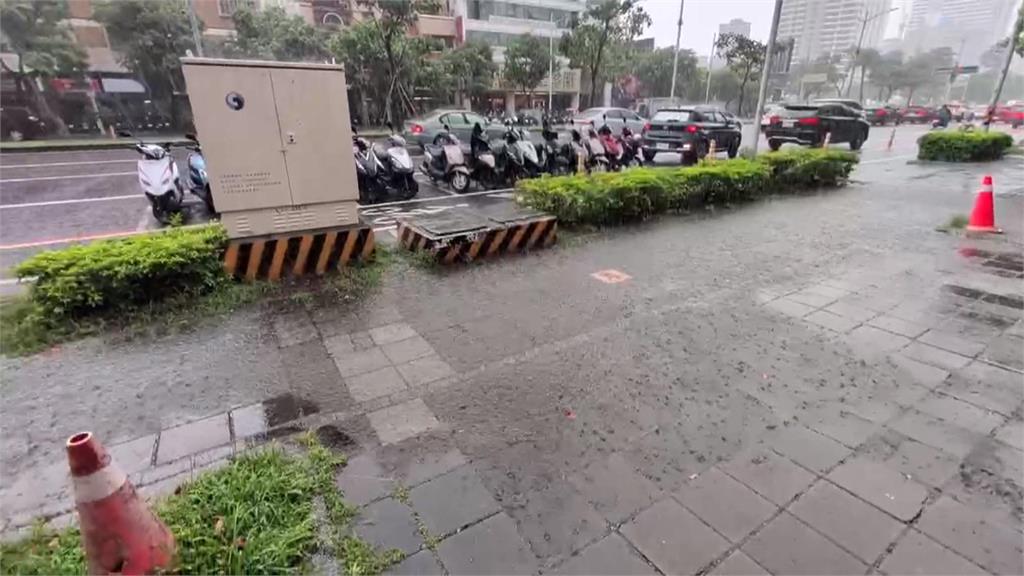 高雄8月降雨破紀錄　前鎮區路樹倒塌砸毀2車