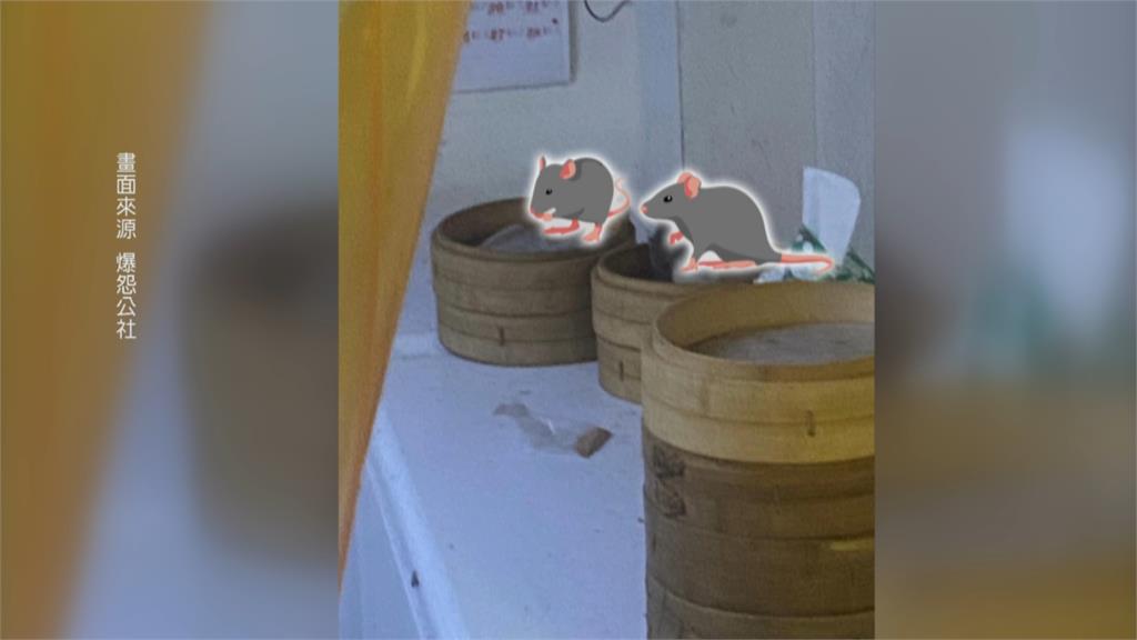 噁！湯包店蒸籠現「老鼠覓食」　顧客嚇壞、衛生局：未改善將開罰