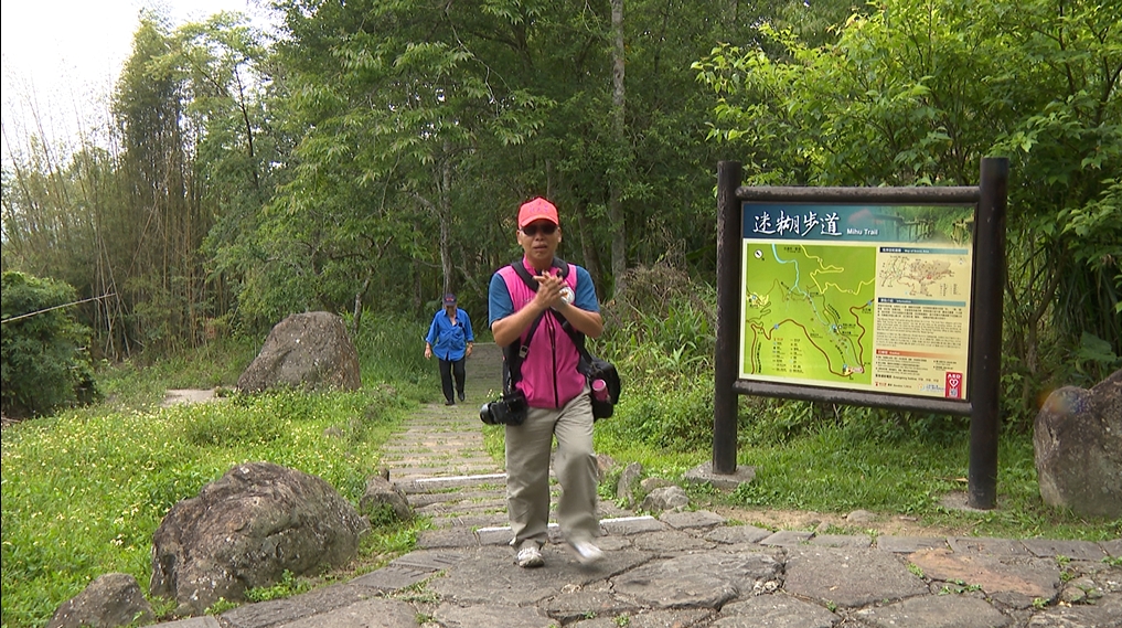 阿里山賞螢秘境曝光! 樂野部落迷糊步道