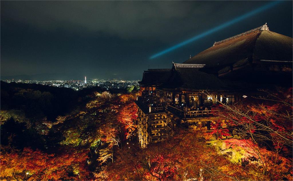 日本一年四季都好玩！氛圍感滿分「靈園賞櫻」＋清水寺限定參觀賞夜楓