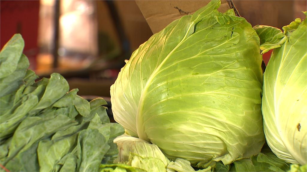 薔琵颱風逼近！　民眾搶買菜、小白菜漲逾1倍