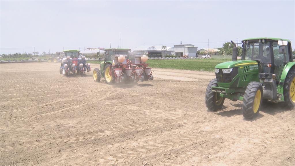 農委會改良新品種高粱　適合中南部天氣栽種