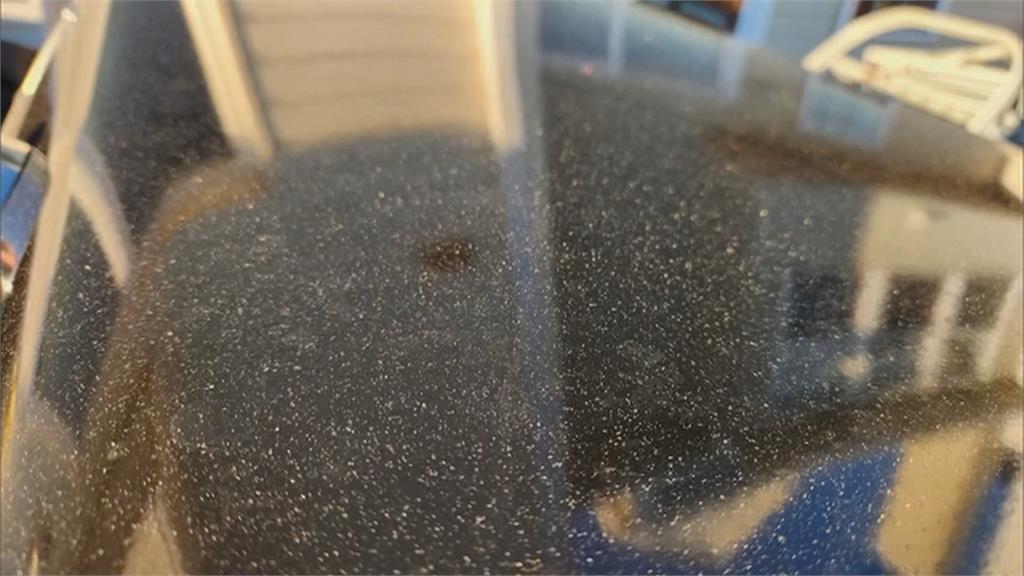 美國馬里蘭州現「謎樣怪灰」　碰水變乳白色　居民憂傷身