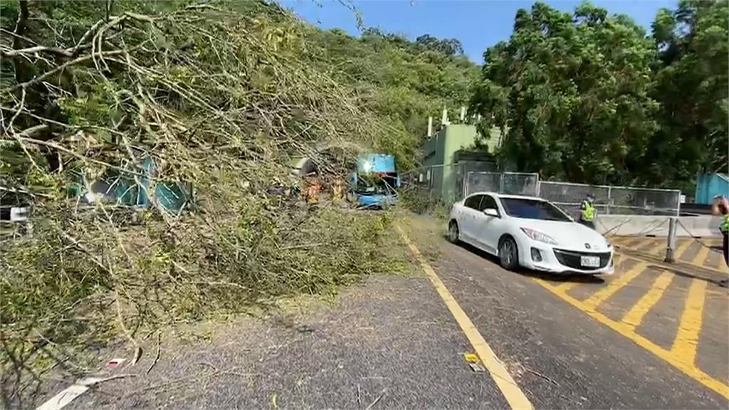 國3甲路樹橫倒阻全線車道 車流一度回堵2公里