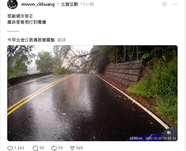 騎車騎一半驚見「藍色強光」!下一秒路樹倒...車主:以為被雷擊