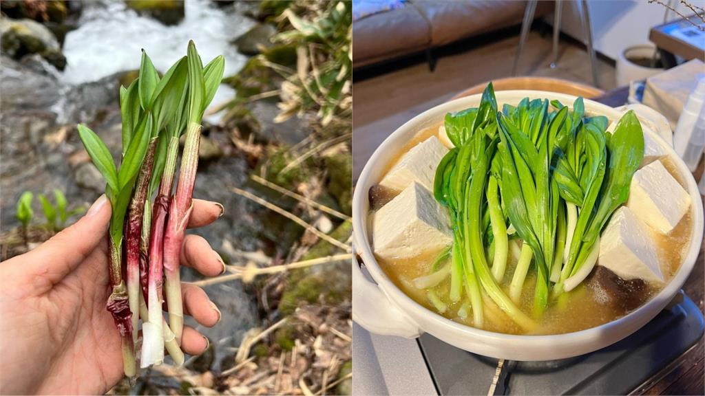 上海封城鬧糧食荒！陳奕迅愛妻飛日本「戶外拔野菜」網友驚呆