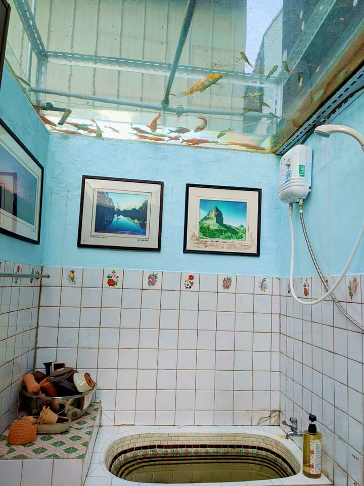 台中民宿浴室天花板驚見「空中魚缸」魚兒陪洗澡！奇葩裝潢背後藏洋蔥
