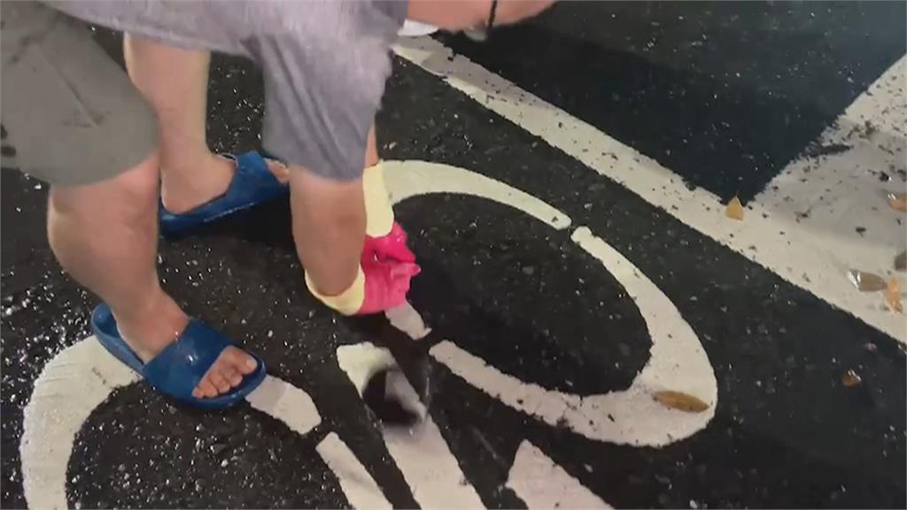 雨彈夜襲高雄！南部稍解渴　馬路現「土虱狂跳」民眾捕抓加菜