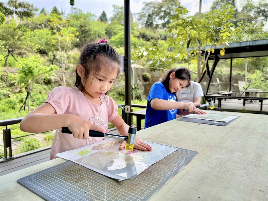 阿里山腳下親子賞螢熱點　美食×體驗×夜間生態一次玩