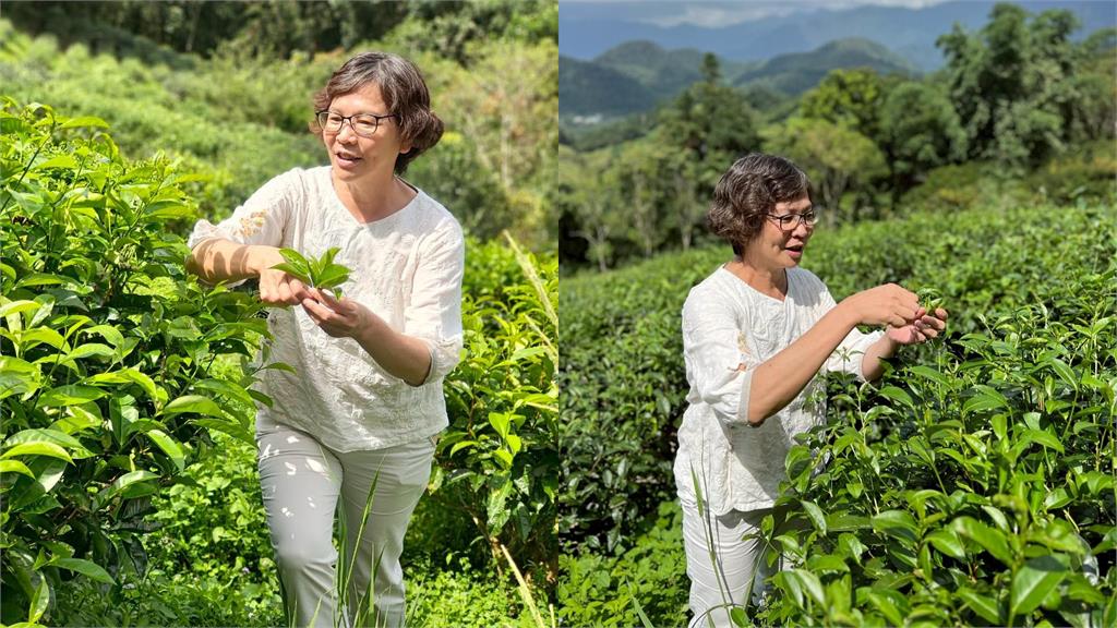 才口誤「我們是雜草」!蔡壁如突曬「滿面笑容拔草畫面」網驚了:走出自己