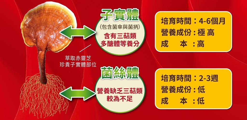 變異株難纏疫情持續不斷醫院忙翻天 增加免疫是要務