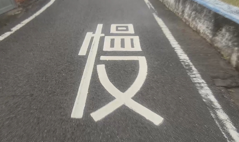 鄉間小徑玩狂逼車? 騎士遇轎車駕駛5度探頭沿路按喇叭