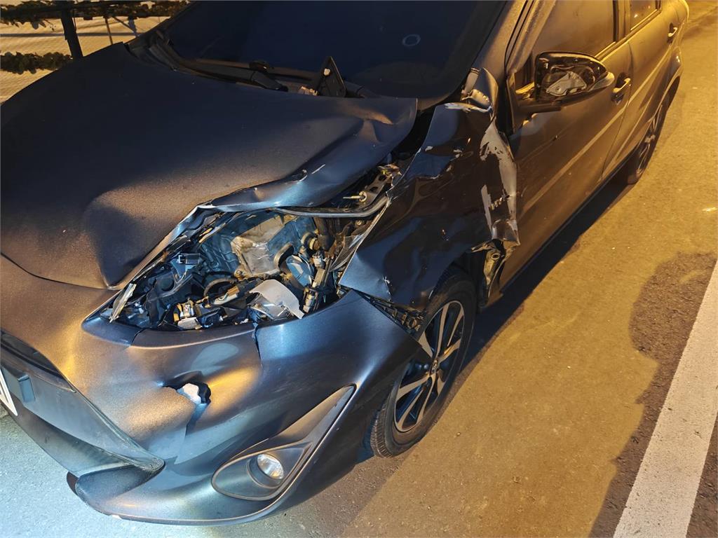 吃完草莓葉Buffet又到馬路上夜遊　牛群被車撞上