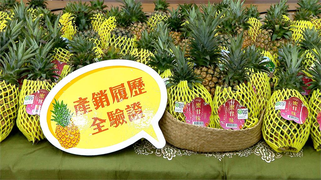 台灣鳳梨飄香日本　提供9校、3360學童營養午餐水果