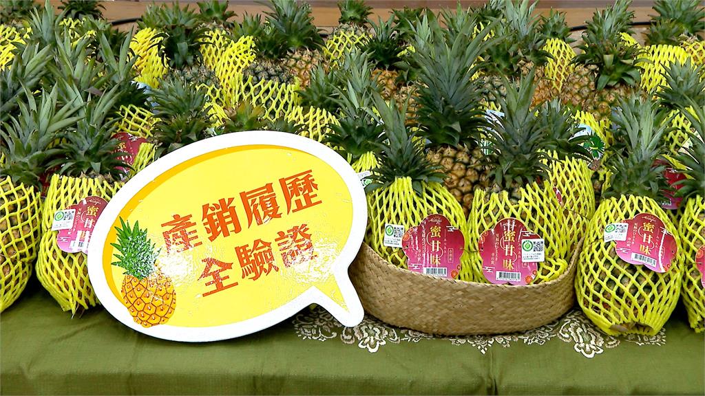 台灣鳳梨飄香日本 提供9校、3360學童營養午餐水果