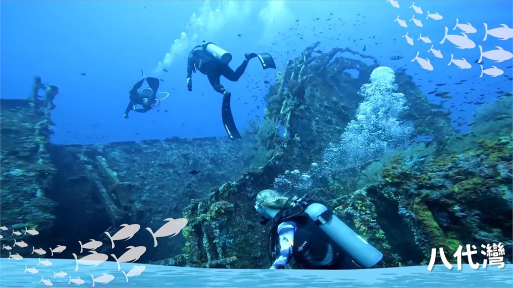 蘭嶼海下40米藏沈船秘境！走過38年成生物天堂　世界級美景潛水員讚翻