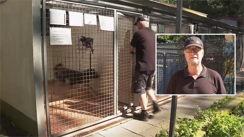 德國通膨嚴重主人沒錢養　收容所每年收逾35萬隻毛孩
