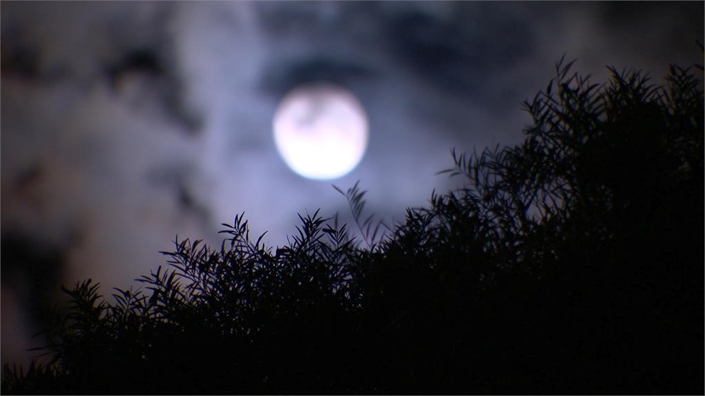 蝴蝶颱風將生成?專家估強度達中颱 週四至週六有顯著降雨