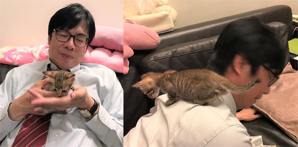 陳其邁「偷抱小孩」鐵證被抓包!網一看「反轉大真相」笑噴告狀:可愛瘋