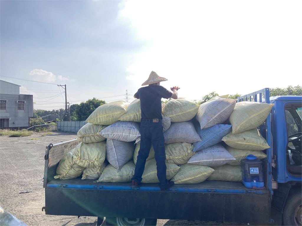 獨家/官田菱角殼變擴香石!農廢變「菱殼炭」 李政憲打造100種炭生活
