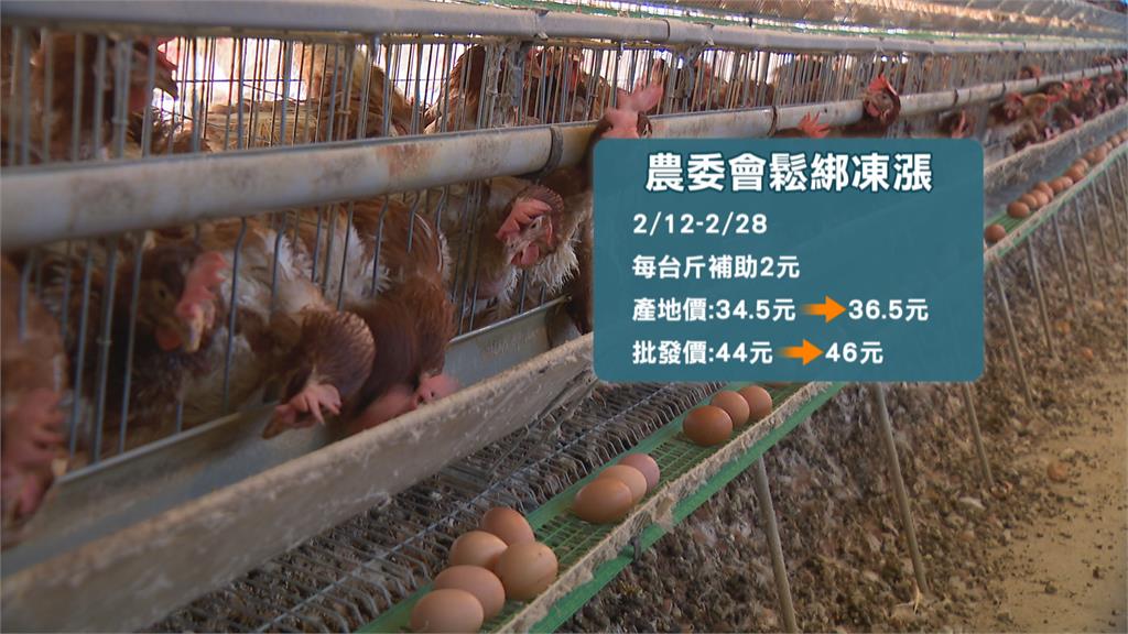 外國進口蛋陸續補足缺口　蛋供應估3月中穩定