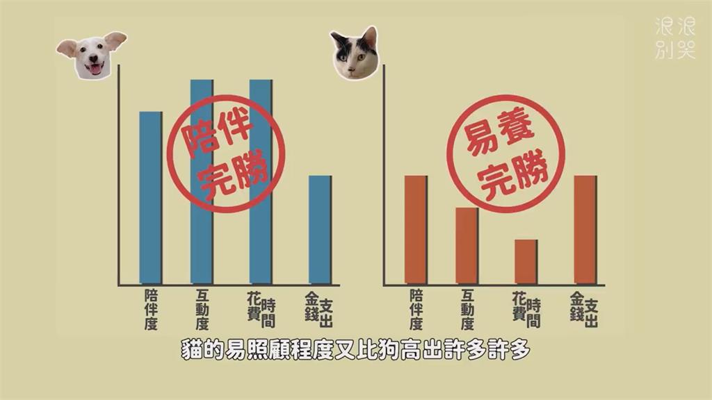 撒嬌vs高冷!寵物迷10指標分析貓狗派 強調:主人的陪伴最重要
