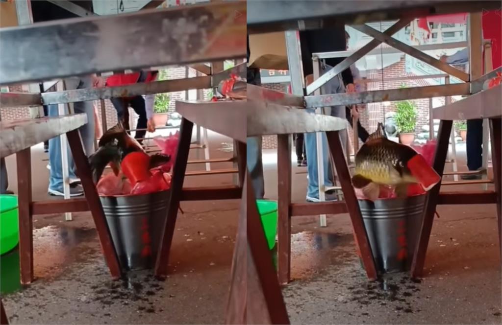 地獄門前僧侶多!宮廟遭曝「活魚吊半空」虐殺…網見殘忍畫面秒怒:神明教的?