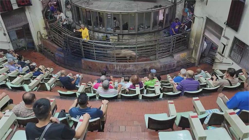 全台禁運宰豬隻解封 南部肉品市場提前1小時拍賣