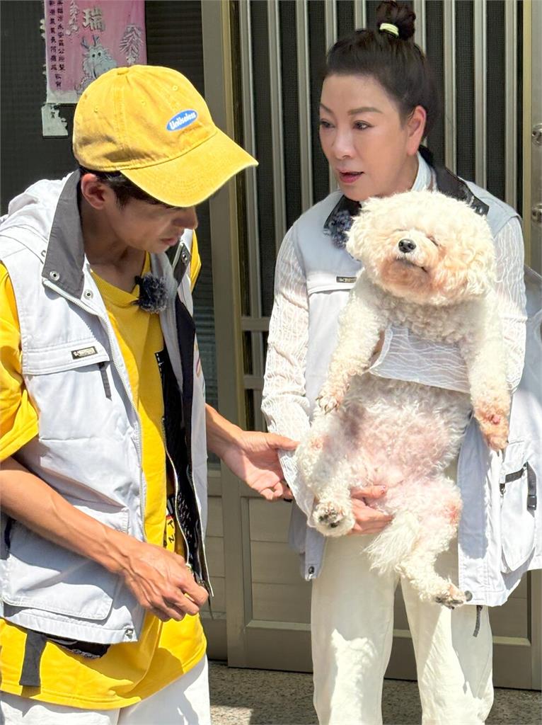 《綜藝新時代》體驗緊張感十足的實境吹箭捕犬任務! 觀摩狗狗結紮手術壯壯差點暈倒