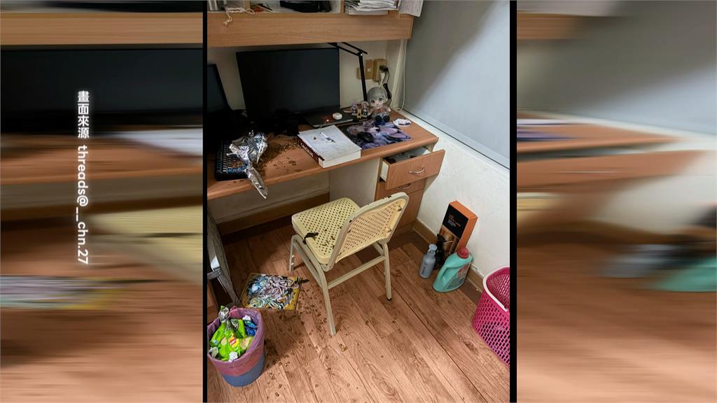 中山大學宿舍被獼猴洗劫！　「大學長」坐書桌忘情吃零食