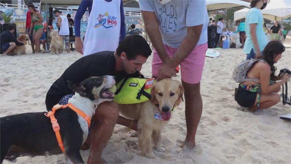 巴西人狗衝浪賽　飼主愛犬展絕佳默契