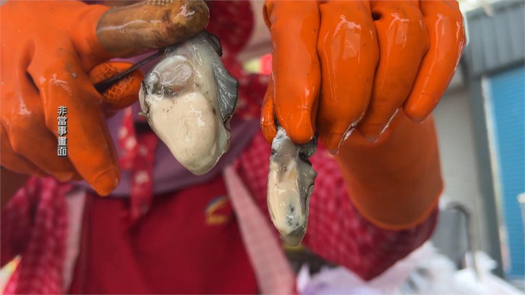 繼高雄後！台中水產店業者越南牡蠣假冒台灣蚵　業者辯稱不知情