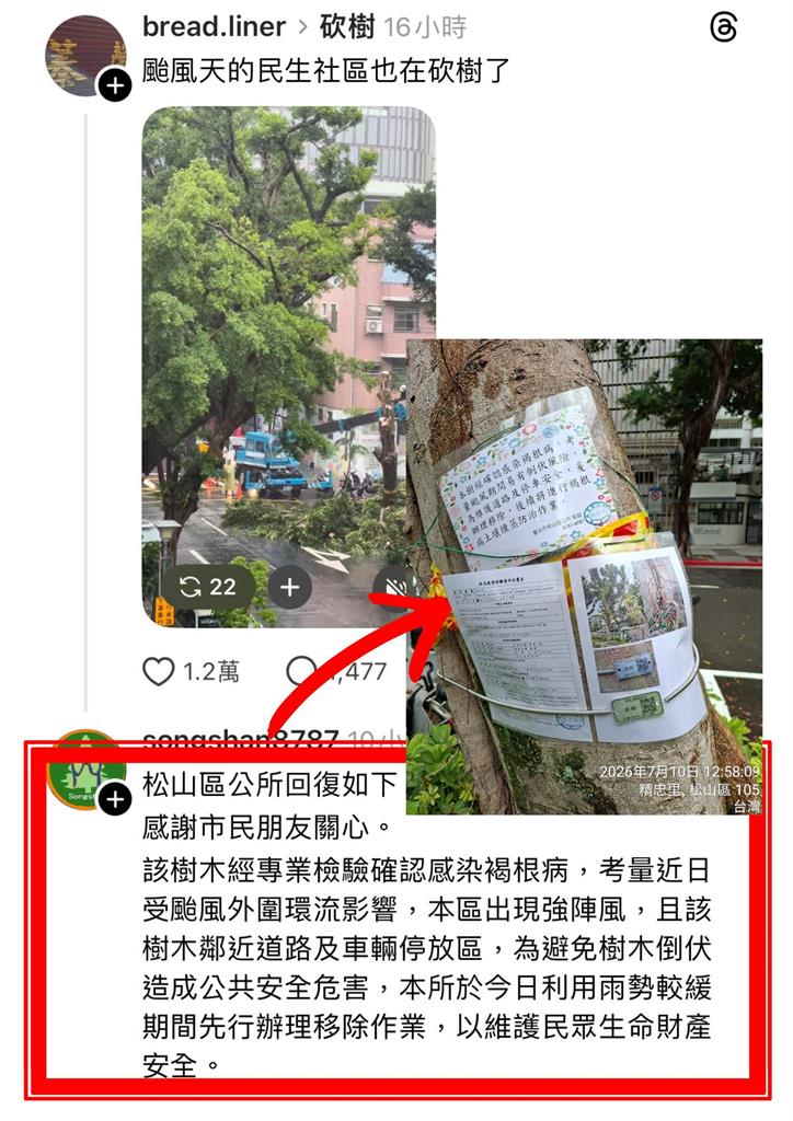 快新聞／砍樹為中國無人機偵蒐？北市府嗆告：假消息將蒐證