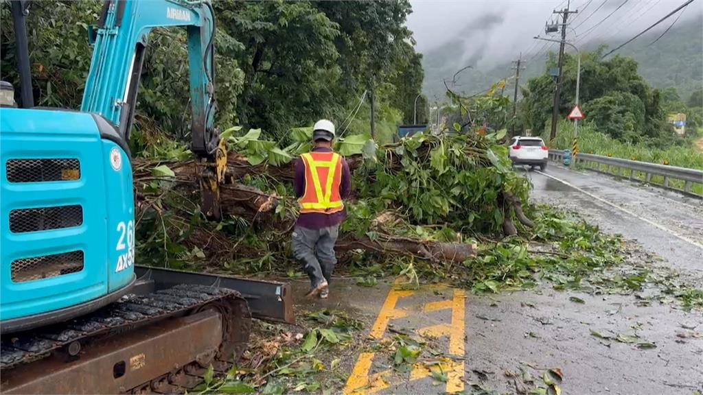 凱米發威!桃園路樹倒塌災情多 龜山車輛被壓毀、龍潭樹倒阻交通