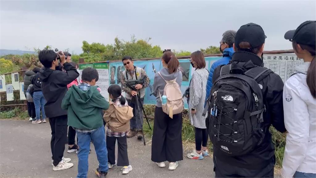 天氣漸暖灰面鵟鷹掠過彰化八卦山 賞鷹迷驚喜不已