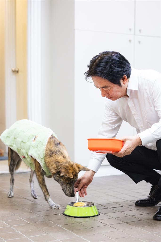快新聞/斑斑、Murphy超幸福 賴清德親製「寵物年菜」陪毛孩迎新年