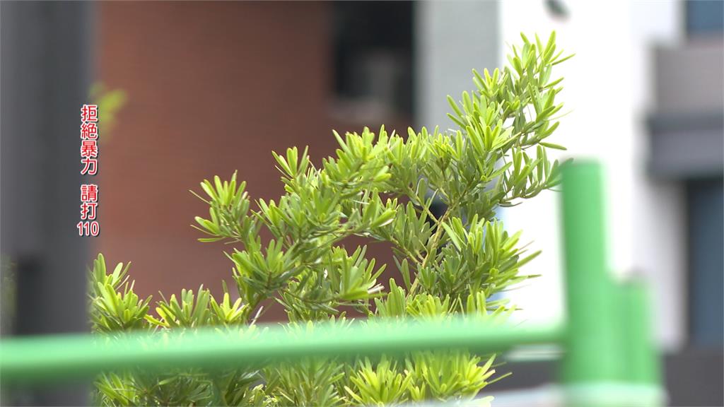 情侶公園大聲爭執! 男子情緒激動竟勒住女友孫子拖行